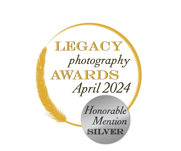 Honorable-mention-silver